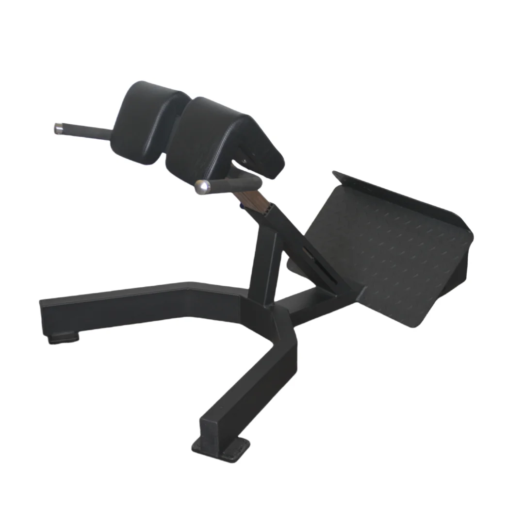 Home Gym Price - Fabrika Fiyatlı Roman Sandalye Sırt Ekstansiyon