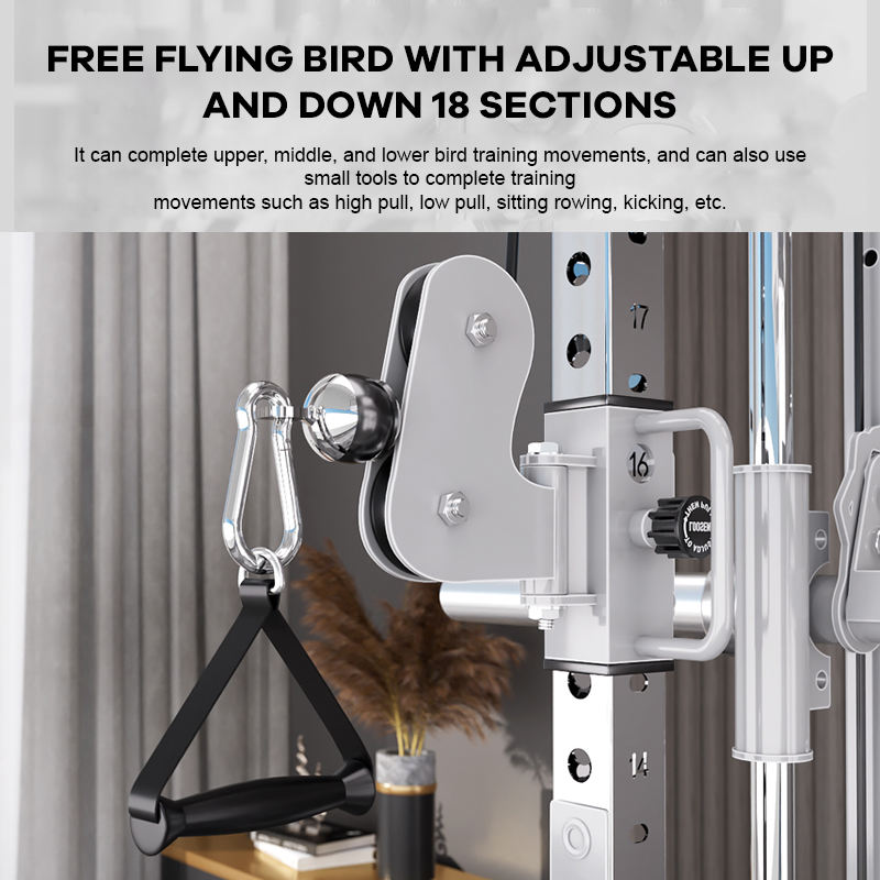 YTYIN Fabrika Tedarikçisi Ev S - Home Gym Leg Machine incelemesi ve fiyatı